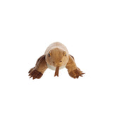 Flopsies Komodo Dragon Soft Toy - Aurora World LTD