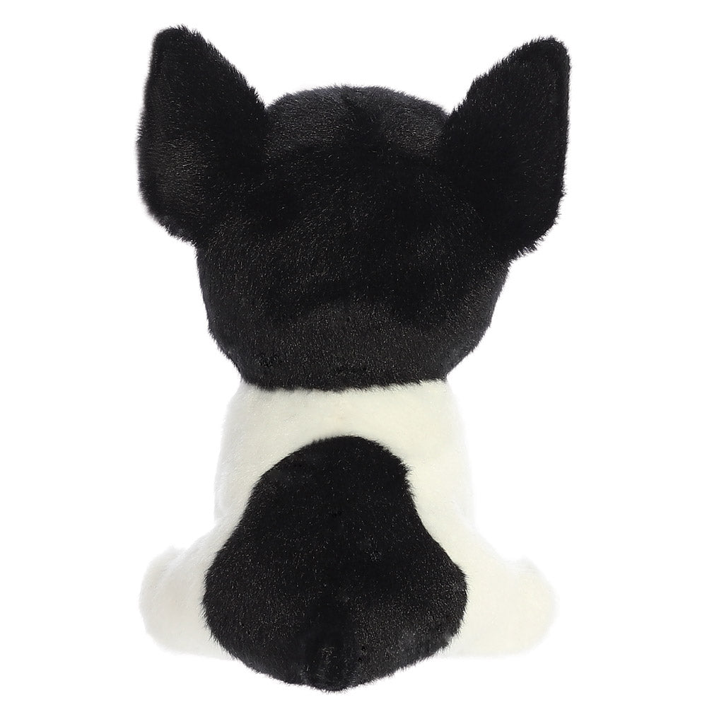 Boston terrier teddy best sale