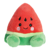 Palm Pals Sandy Watermelon Soft Toy - Aurora World LTD