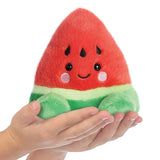 Palm Pals Sandy Watermelon Soft Toy - Aurora World LTD