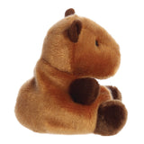 Palm Pals Sid Capybara Soft Toy - Aurora World LTD