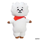 BT21 RJ Small Soft Toy - Aurora World LTD