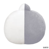 BT21, VAN Plush Cushion, 11In - Aurora World LTD