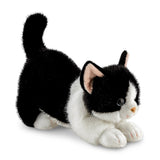 Borealis Domino Tuxedo Cat Soft Toy - Aurora World LTD