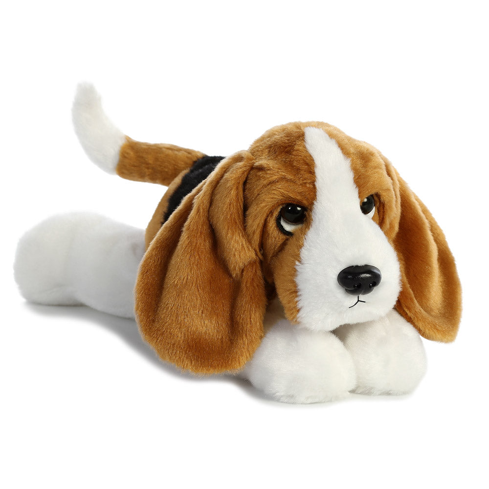 Basset hound supplies best sale