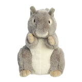 Eco Nation Squirrel Soft Toy - Aurora World LTD